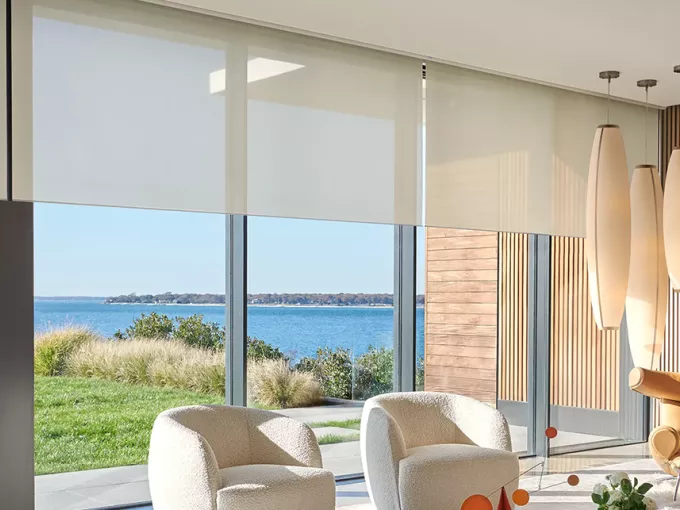 Palladiom roller shades in living room balancing view preservation and daylight control