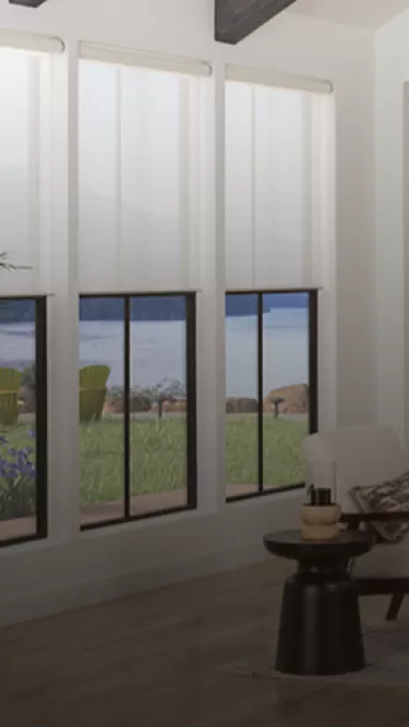 Palladiom Exposed Roller Blinds