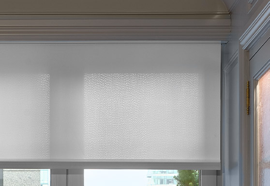 Sivoia QS Roller Shades