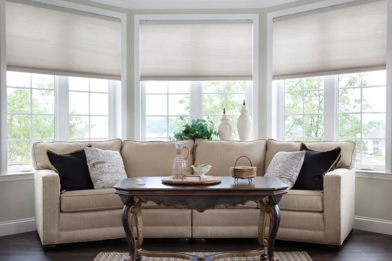 Automated cellular shades in Living room setting provide privacy while allowing natural light through light-filtering fabrics
