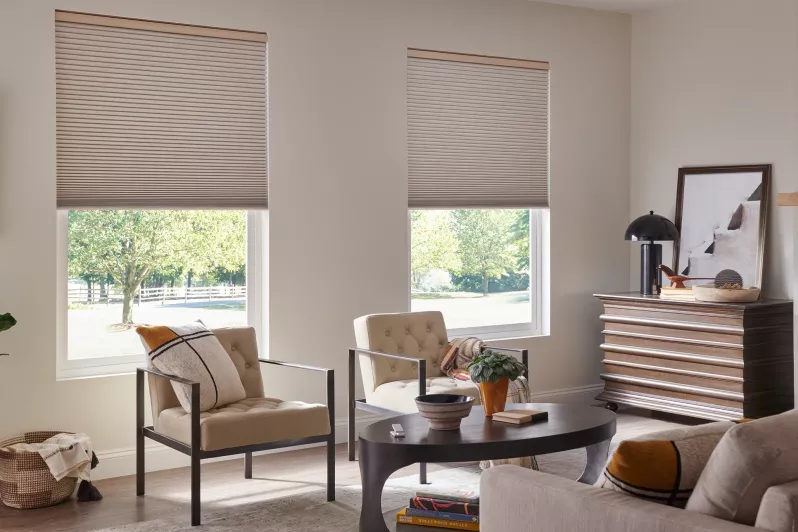 Automated cellular shades in living room setting provide privacy while minimizing daylight through room-darkening fabrics