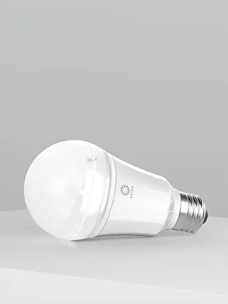 A20 Lamp