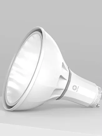 S38 Lamp